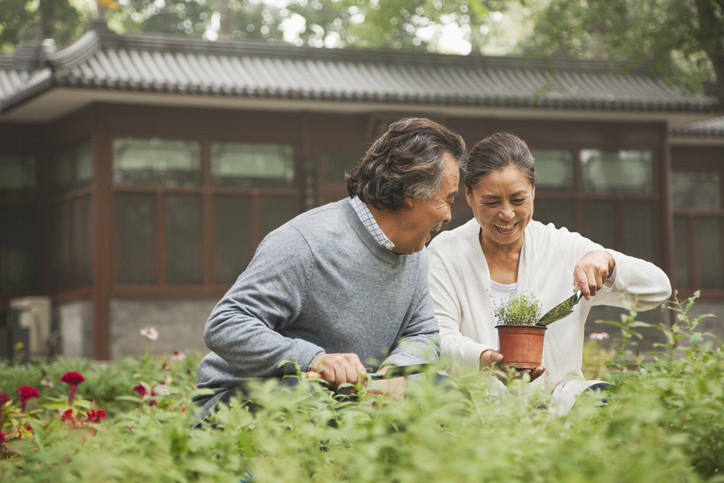 elderly couple gardening relaxing